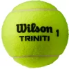 Wilson Triniti Tennis Balls – 3 Pack -Ball Games Comprehensive Shop 19WILUTRNTTNNSBLLTNN Yellow