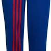 Adidas Boys' Tiro 22 Disruptive Branding Track Pants -Ball Games Comprehensive Shop 21ADIBTRSYMMTRCLSAPB Collegiate Royal Red