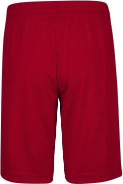 Jordan Boys' Jumpman Vertical Mesh Shorts -Ball Games Comprehensive Shop 957176 R78 Red BCK