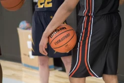 Wilson Official Evolution Basketball -Ball Games Comprehensive Shop B0516R NOCOLOR MODDET