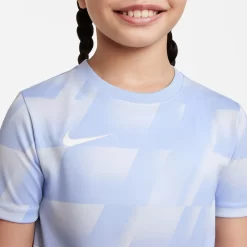 Nike Youth Dri-FIT F.C. Libero Short Sleeve Graphic Soccer Shirt -Ball Games Comprehensive Shop DH9675 548 LightMarine MODDET