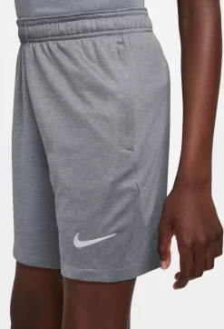 Nike Boys' Dri-Fit Shorts -Ball Games Comprehensive Shop DX5465 065 CoolGreyPure MODL