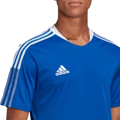 Adidas Men's Tiro 21 Training Jersey -Ball Games Comprehensive Shop S2106GHTT100N TeamRoyalBlue MODDET