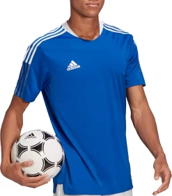 Adidas Men's Tiro 21 Training Jersey -Ball Games Comprehensive Shop S2106GHTT100N TeamRoyalBlue MODSDE