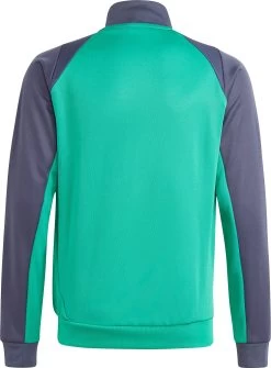 Adidas Boys' Tiro Track Jacket -Ball Games Comprehensive Shop S2306GHHOT205Y HS9788 CourtGreenShadow BCK