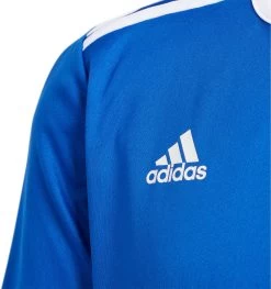 Adidas Youth Entrada 18 Jersey -Ball Games Comprehensive Shop YENTRADA18JRSY CF1049 BoldBlue DET