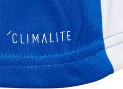 Adidas Youth Entrada 18 Jersey -Ball Games Comprehensive Shop YENTRADA18JRSY CF1049 BoldBlue DET alt1